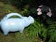 hippo watering can
