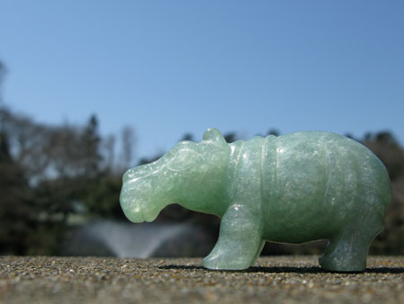 aquamarine hippo