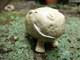 ceramic hippo bell (c)Hiki