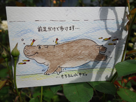 Postcard by Hikita