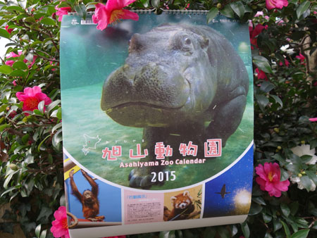 旭山動物園カレンダー 