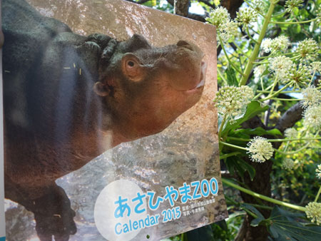 旭山動物園カレンダー 