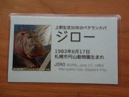 上野動物園 裏面 カバのジロー