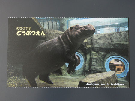 旭山動物園のオリジナルフォト切手