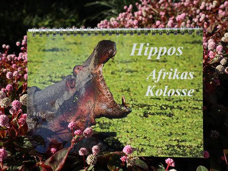 2018Calendar Hippos- Afrikas Kolosse