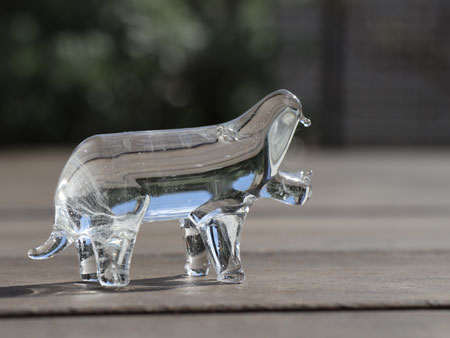 glass hippo