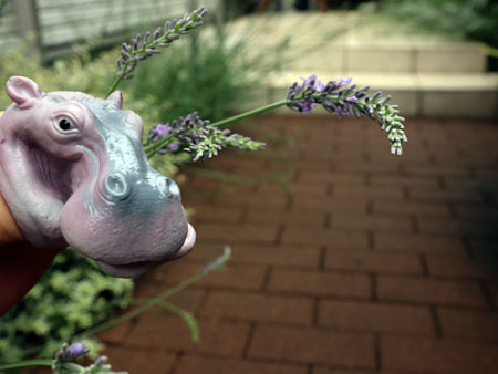 puppet animal hippo