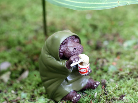 capsule toy animal camp