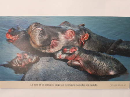 フランスの絵葉書