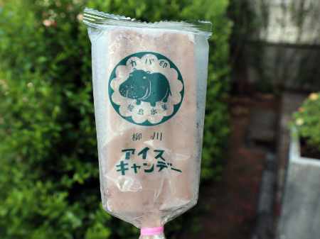 椛島氷菓アイスキャンデー