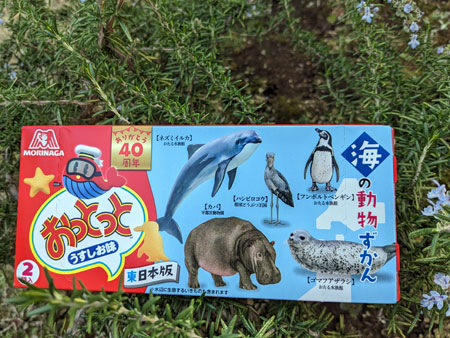 「おっとっと 東日本版 海の動物ずかん」パッケージ