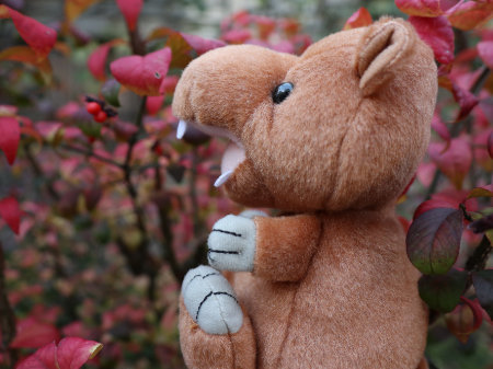 ニフレルのコビトカバぬいぐるみ