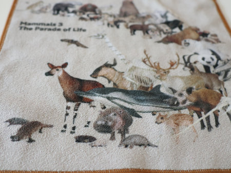 Mammals3 The Parade of Life