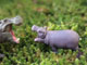 ANIA ANIMAL ADVENTURE TAKARA TOMY child hippo