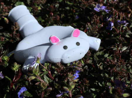 ポッチャリアニマルバルーン