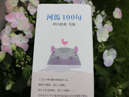 　『河馬　100句-坪内稔典　句集-』