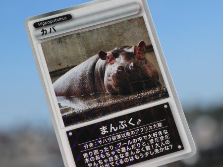 東武動物公園　まんぷくくんカード