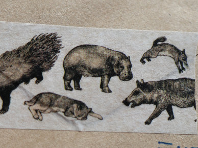 マスキングテープ　コビトカバ