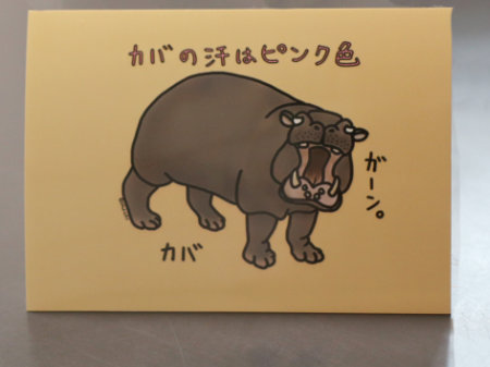 シール「カバの汗はピンク色」