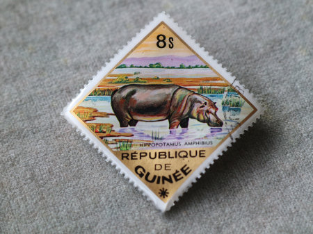 ギニア切手のブローチ