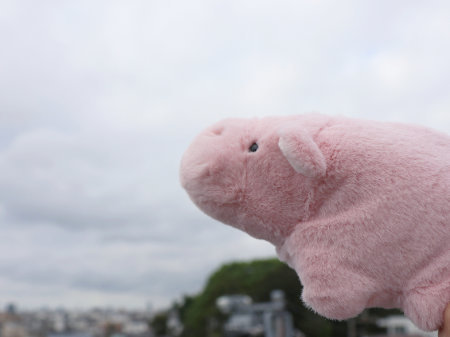 『ぽちゃベビー』陸のいきもの　