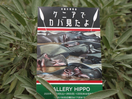 『髙橋友那個展　ケニアでカバ見たよ』DM