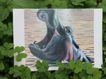 ポストカード　「誇りの水際」髙橋友那