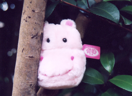 小物入れキーホルダー「かばくん」